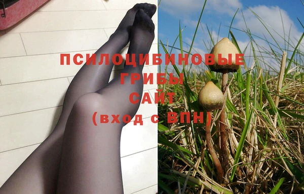 ПСИЛОЦИБИНОВЫЕ ГРИБЫ Арсеньев