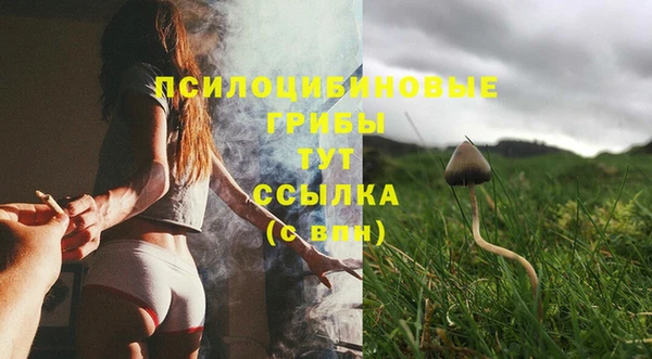 ПСИЛОЦИБИНОВЫЕ ГРИБЫ Арсеньев