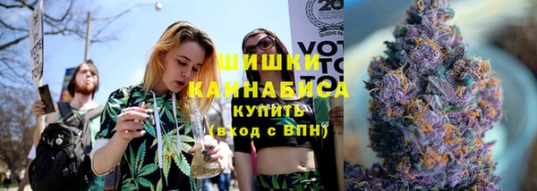 ПСИЛОЦИБИНОВЫЕ ГРИБЫ Арсеньев