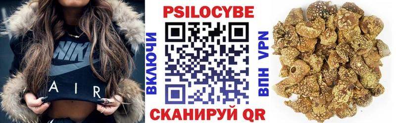 цены   Сатка  Псилоцибиновые грибы Psilocybine cubensis 