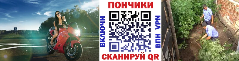 Бошки марихуана план нарко площадка официальный сайт Сатка